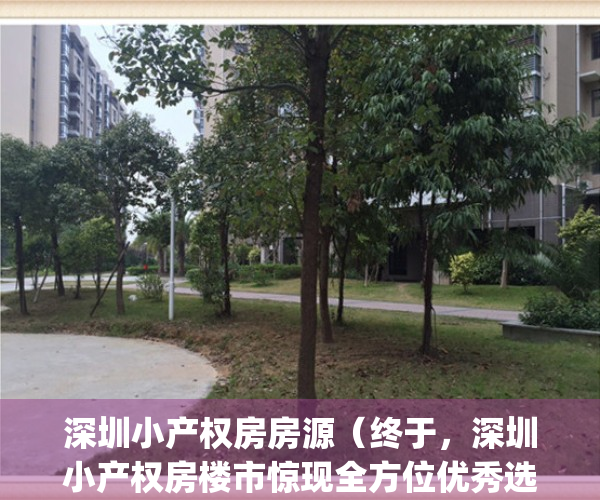 深圳小产权房房源（终于，深圳小产权房楼市惊现全方位优秀选手！）(深圳小产权房最新开盘)