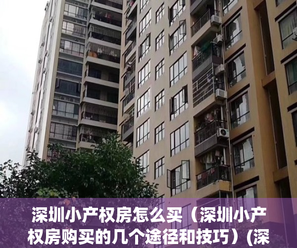 深圳小产权房怎么买（深圳小产权房购买的几个途径和技巧）(深圳小产权去哪里买)