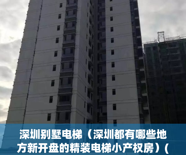 深圳别墅电梯（深圳都有哪些地方新开盘的精装电梯小产权房）(深圳在售别墅项目)