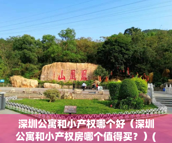 深圳公寓和小产权哪个好（深圳公寓和小产权房哪个值得买？）(深圳小户型公寓价格)