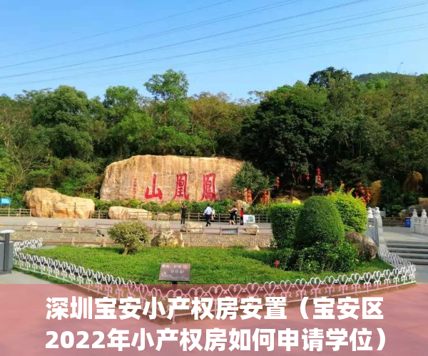 深圳宝安小产权房安置（宝安区2022年小产权房如何申请学位）(深圳宝安小产权房多少钱一平方)