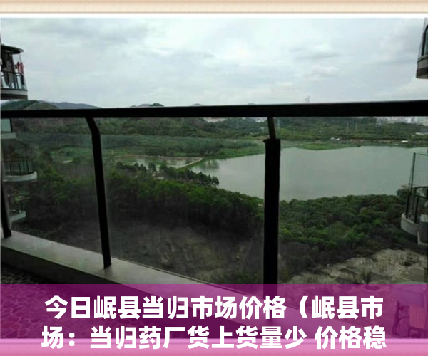 今日岷县当归市场价格（岷县市场：当归药厂货上货量少 价格稳中显硬）