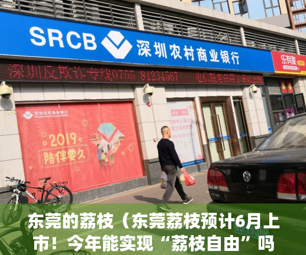 东莞的荔枝（东莞荔枝预计6月上市！今年能实现“荔枝自由”吗？）(东莞荔枝出名吗)
