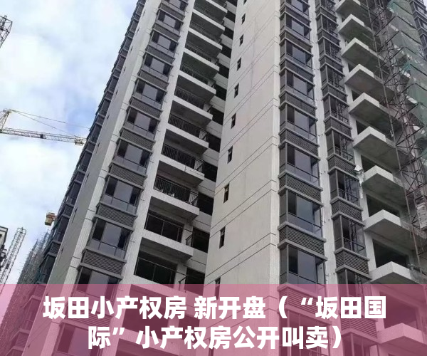 坂田小产权房 新开盘（“坂田国际”小产权房公开叫卖）