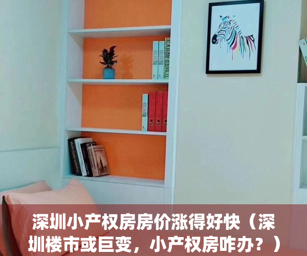 深圳小产权房房价涨得好快（深圳楼市或巨变，小产权房咋办？）(深圳小产权房价格走势分析)