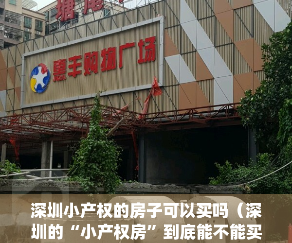 深圳小产权的房子可以买吗（深圳的“小产权房”到底能不能买？）(深圳小产权的房子能买吗,自己住有保障吗?)