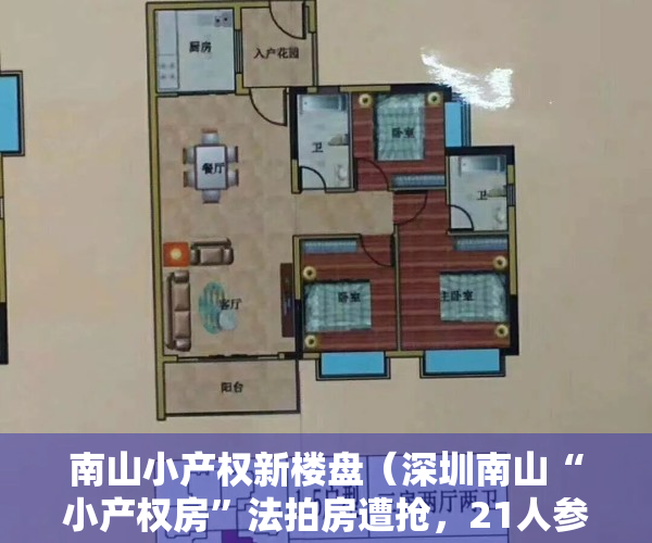 南山小产权新楼盘（深圳南山“小产权房”法拍房遭抢，21人参与，单价7万平拍出）
