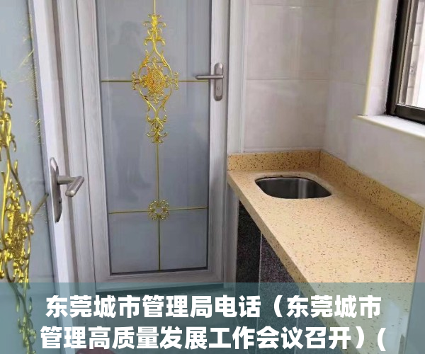 东莞城市管理局电话（东莞城市管理高质量发展工作会议召开）(东莞市城市管理委员会)