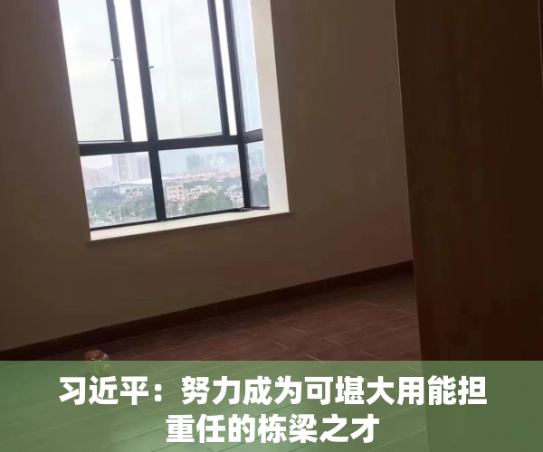 习近平：努力成为可堪大用能担重任的栋梁之才