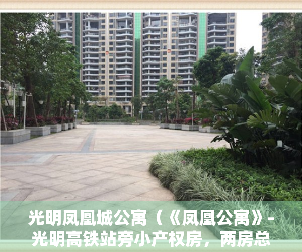 光明凤凰城公寓（《凤凰公寓》-光明高铁站旁小产权房，两房总价38万，地铁口900米，原始户型，带天然气，楼下停车场）