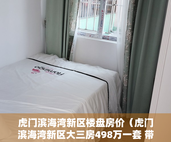 虎门滨海湾新区楼盘房价（虎门滨海湾新区大三房498万一套 带地下停车库 高铁南站小产权房）