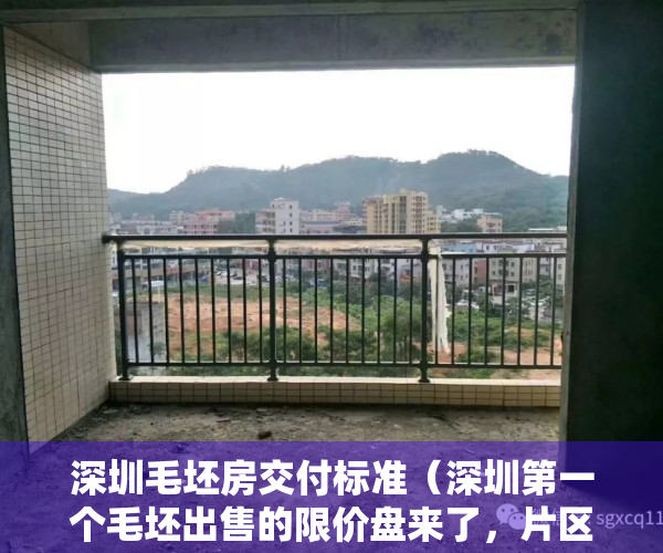 深圳毛坯房交付标准（深圳第一个毛坯出售的限价盘来了，片区入市超3600套新房）