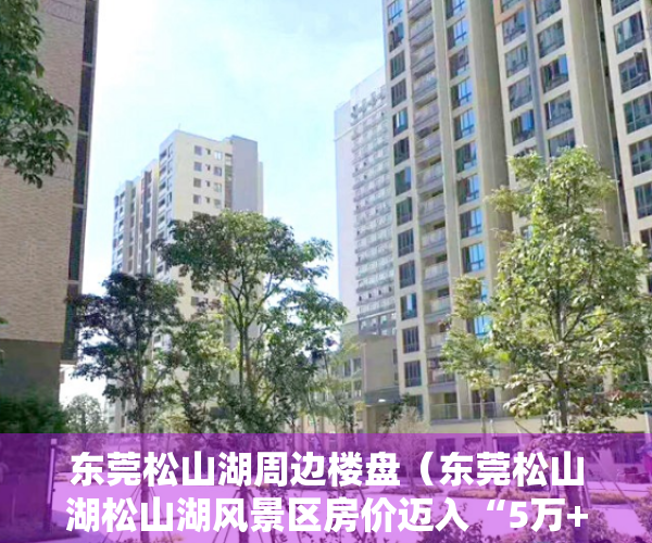 东莞松山湖周边楼盘（东莞松山湖松山湖风景区房价迈入“5万+”，最贵的小区均价超过7万平）