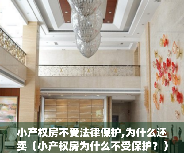 小产权房不受法律保护,为什么还卖（小产权房为什么不受保护？）(小产权房为什么不能卖)