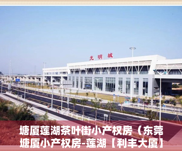 塘厦莲湖茶叶街小产权房（东莞塘厦小产权房-莲湖【利丰大厦】均价5580元起 送装修 分期免息）