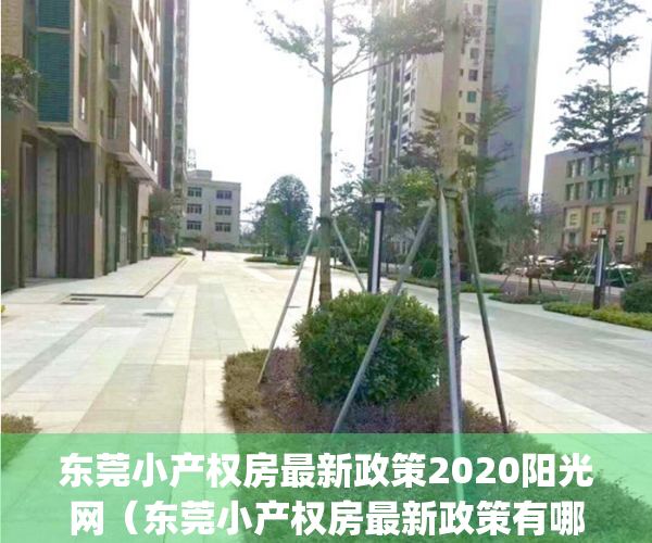 东莞小产权房最新政策2020阳光网（东莞小产权房最新政策有哪些）(东莞小产权房现在怎么样了)