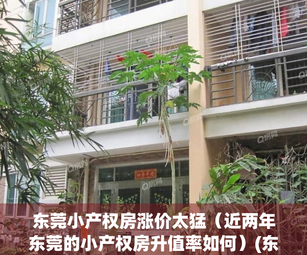东莞小产权房涨价太猛（近两年东莞的小产权房升值率如何）(东莞最新小产权房房源)