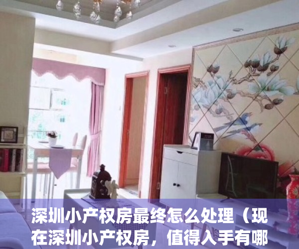 深圳小产权房最终怎么处理（现在深圳小产权房，值得入手有哪些）(深圳小产权房何去何从)