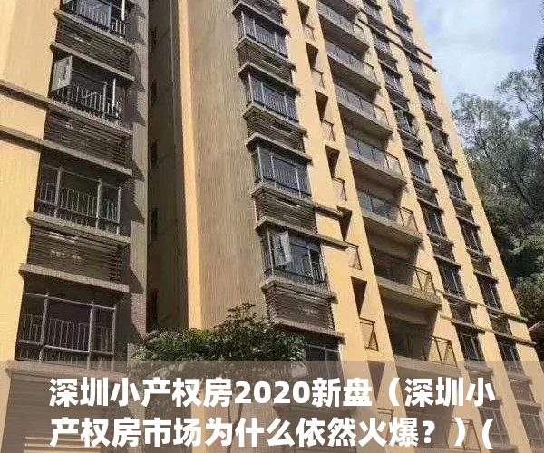 深圳小产权房2020新盘（深圳小产权房市场为什么依然火爆？）(深圳小产权房销售火爆,近八成购房者为投资客)