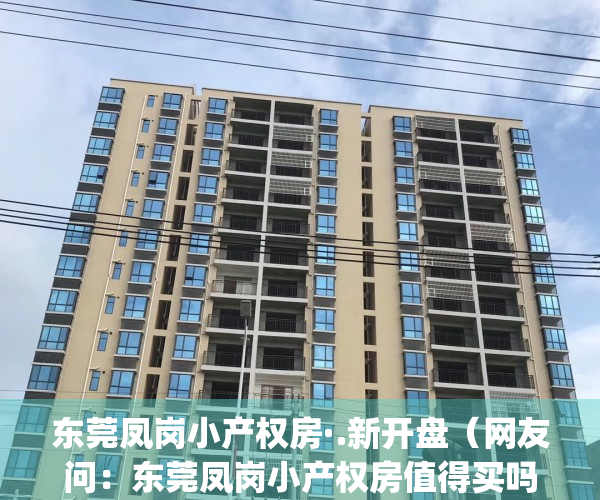 东莞凤岗小产权房·.新开盘（网友问：东莞凤岗小产权房值得买吗）(东莞凤岗小产权房最新楼盘)