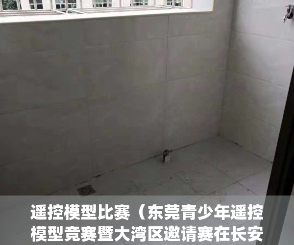 遥控模型比赛（东莞青少年遥控模型竞赛暨大湾区邀请赛在长安举行）(遥控模型厂家)