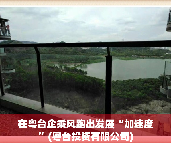 在粤台企乘风跑出发展“加速度”(粤台投资有限公司)