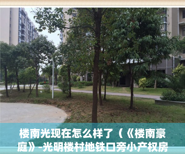 楼南光现在怎么样了（《楼南豪庭》-光明楼村地铁口旁小产权房）(楼南光还在吗)