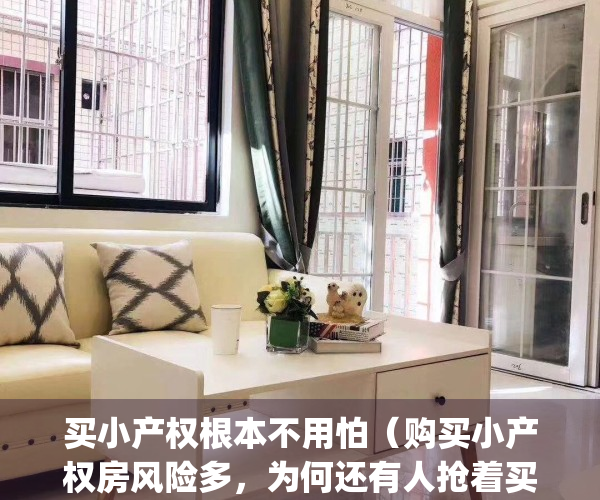 买小产权根本不用怕（购买小产权房风险多，为何还有人抢着买？）(买小产权房会怎么样)