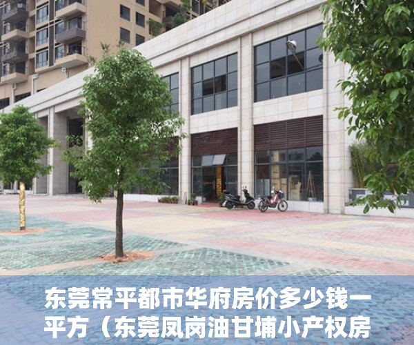 东莞常平都市华府房价多少钱一平方（东莞凤岗油甘埔小产权房《都市华府二期》三栋小区带停车位 首付15万起）
