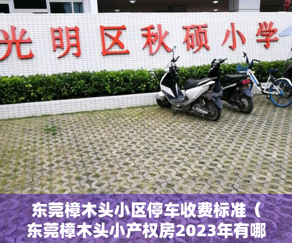 东莞樟木头小区停车收费标准（东莞樟木头小产权房2023年有哪些项目？）