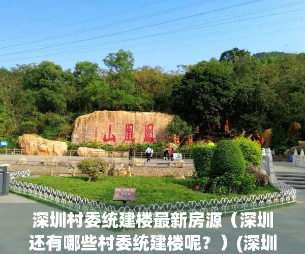 深圳村委统建楼最新房源（深圳还有哪些村委统建楼呢？）(深圳村委统建楼可靠吗)