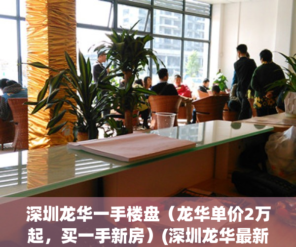 深圳龙华一手楼盘（龙华单价2万起，买一手新房）(深圳龙华最新楼盘出售信息)