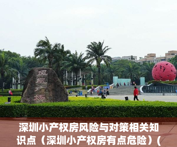 深圳小产权房风险与对策相关知识点（深圳小产权房有点危险）(深圳小产权房受法律保护吗)