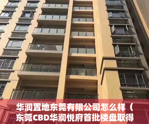 华润置地东莞有限公司怎么样（东莞CBD华润悦府首批楼盘取得预售许可证 单价最高63850元平）