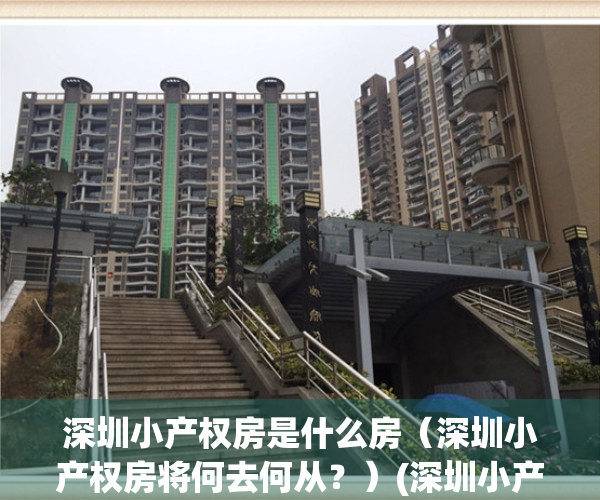 深圳小产权房是什么房（深圳小产权房将何去何从？）(深圳小产权房的比例有多大?)