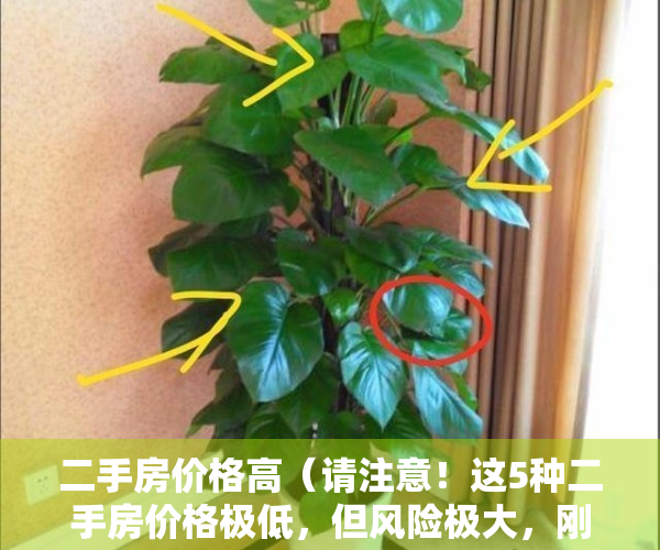 二手房价格高（请注意！这5种二手房价格极低，但风险极大，刚需族慎买！）