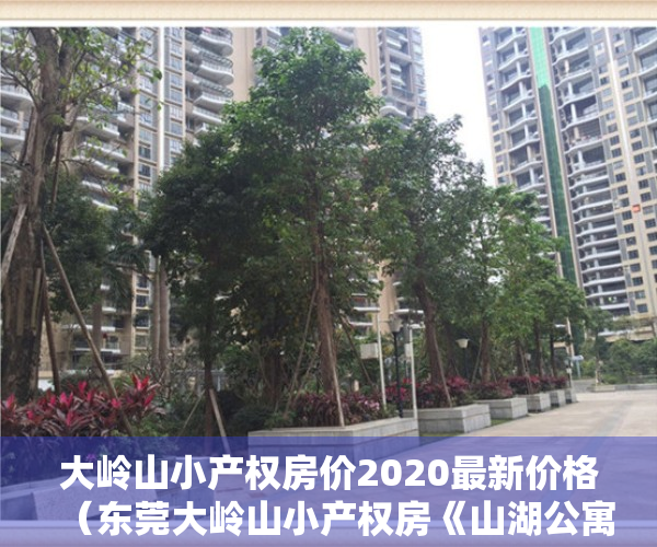 大岭山小产权房价2020最新价格（东莞大岭山小产权房《山湖公寓》电梯洋房 三房29万每套起）