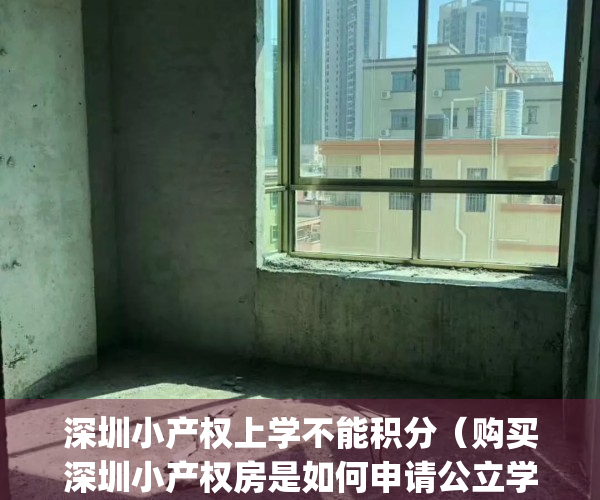 深圳小产权上学不能积分（购买深圳小产权房是如何申请公立学校？）(深圳小产权 上学)