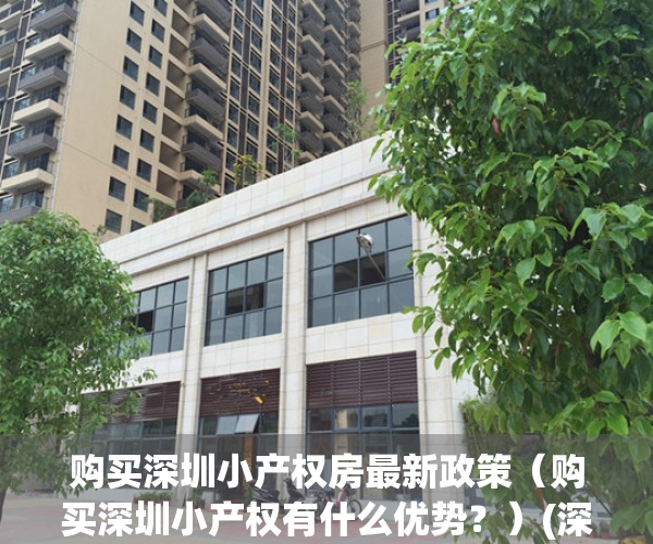 购买深圳小产权房最新政策（购买深圳小产权有什么优势？）(深圳购买小产权房风险大吗)