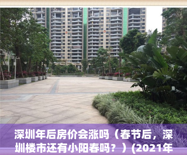 深圳年后房价会涨吗（春节后，深圳楼市还有小阳春吗？）(2021年深圳房价还会涨吗)