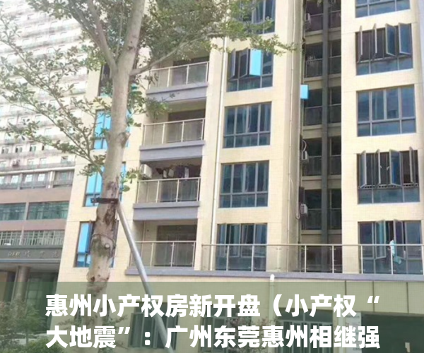 惠州小产权房新开盘（小产权“大地震”：广州东莞惠州相继强拆！）(惠州的小产权房价多少)