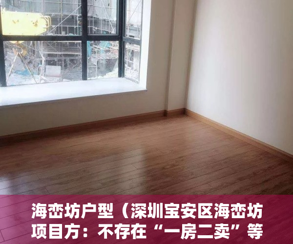 海峦坊户型（深圳宝安区海峦坊项目方：不存在“一房二卖”等违法违规情形，相关嫌疑人已被刑拘）