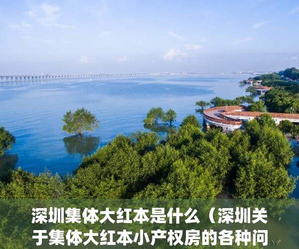 深圳集体大红本是什么（深圳关于集体大红本小产权房的各种问题！）(深圳集体大红本房合法吗)
