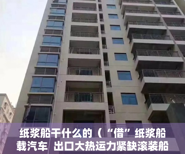纸浆船干什么的（“借”纸浆船载汽车  出口大热运力紧缺滚装船租金涨10倍｜公司调研）