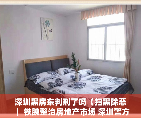 深圳黑房东判刑了吗（扫黑除恶 ｜ 铁腕整治房地产市场 深圳警方端掉一黑房东黑中介恶势力团伙）