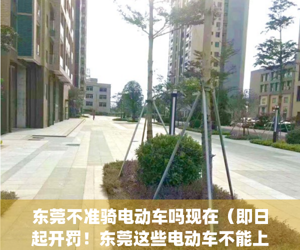 东莞不准骑电动车吗现在（即日起开罚！东莞这些电动车不能上路！）(东莞禁止电动车吗)
