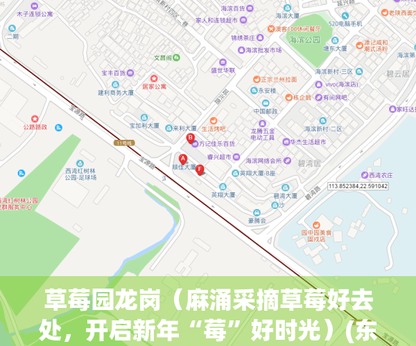 草莓园龙岗（麻涌采摘草莓好去处，开启新年“莓”好时光）(东莞麻涌哪里有草莓园)