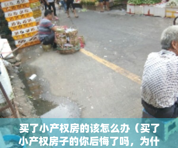 买了小产权房的该怎么办（买了小产权房子的你后悔了吗，为什么？）(买小产权房以后会有什么影响)