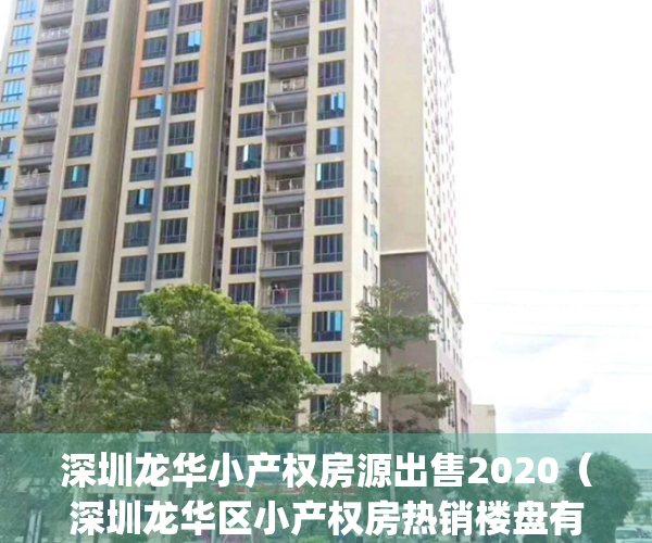 深圳龙华小产权房源出售2020（深圳龙华区小产权房热销楼盘有哪些？）(深圳龙华小产权房最新政策2021)