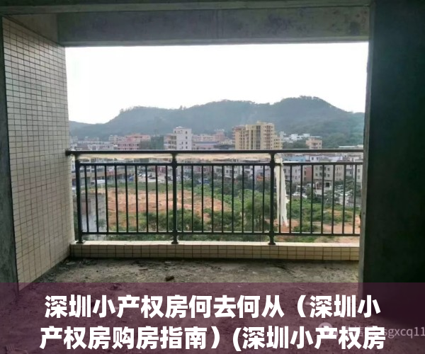 深圳小产权房何去何从（深圳小产权房购房指南）(深圳小产权房优缺点)